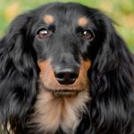 Миниатюра к