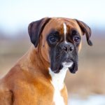 Миниатюра к