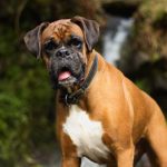 Миниатюра к