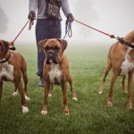 Миниатюра к