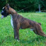 Миниатюра к