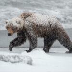 Миниатюра к