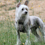 Миниатюра к 