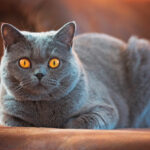 Миниатюра к