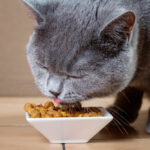 Миниатюра к