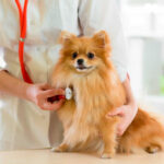 Миниатюра к