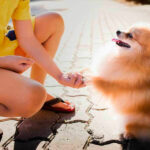 Миниатюра к