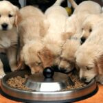 Миниатюра к