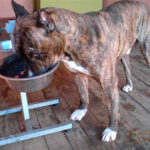 Миниатюра к 