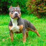 Миниатюра к 