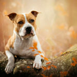 Миниатюра к 