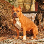 Миниатюра к 