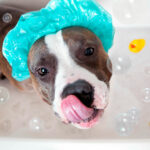 Миниатюра к 