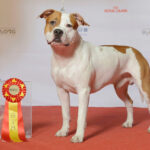 Миниатюра к 