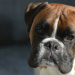 Миниатюра к