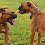 Миниатюра к