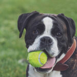 Миниатюра к