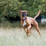 Миниатюра к