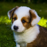 Миниатюра к 