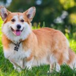 Миниатюра к 