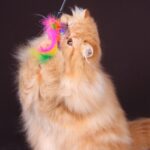 Миниатюра к