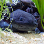 Миниатюра к 