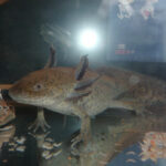 Миниатюра к 