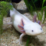 Миниатюра к 