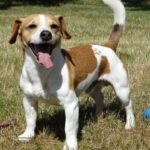 Миниатюра к 