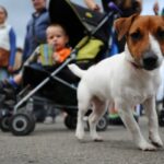 Миниатюра к 