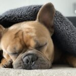 Миниатюра к