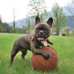 Миниатюра к