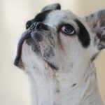 Миниатюра к