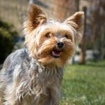 Миниатюра к 