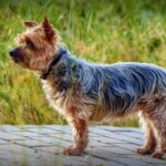 Миниатюра к 