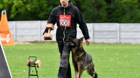 Как научить собаку команде «рядом»?