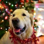 Миниатюра к