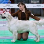 Миниатюра к