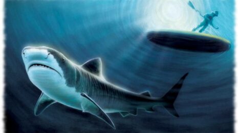 mify-ob-akulah-spisok-opisanie-foto-i-video-d955c2d.jpg