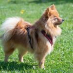 Миниатюра к 