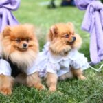 Миниатюра к 