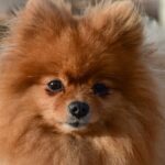 Миниатюра к 