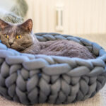 Миниатюра к