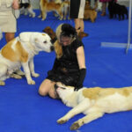 Миниатюра к 