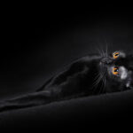 Миниатюра к