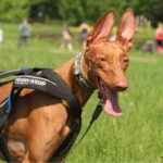 Миниатюра к 