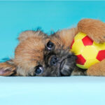 Миниатюра к