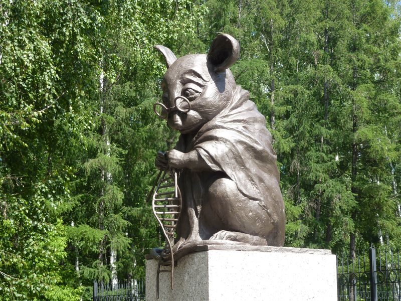 Крыса Крыса