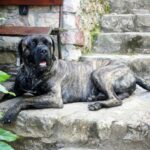 Миниатюра к