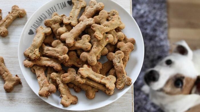 Собаке можно предлагать только безопасные сладости